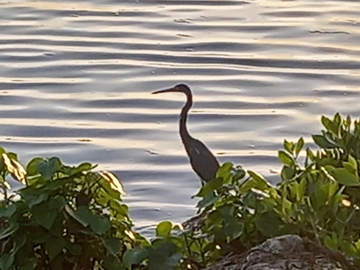 Hotel Serema Cartagena